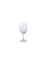 Riedel Red/White Wine Glass
